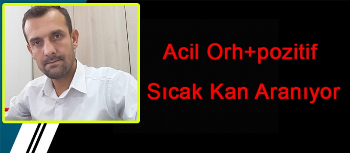 Acil Orh+pozitif sıcak kan aranıyor